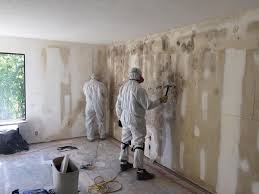 Asbestos and Lead Testing During Mold Inspection in Shoreacres, TX